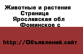  Животные и растения - Страница 10 . Ярославская обл.,Фоминское с.